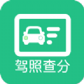 驾驶证分数查询 V1.0.0 安卓版