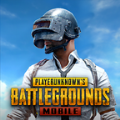 pubg2国际服手游下载安卓 V2.3.0