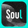 安装soul