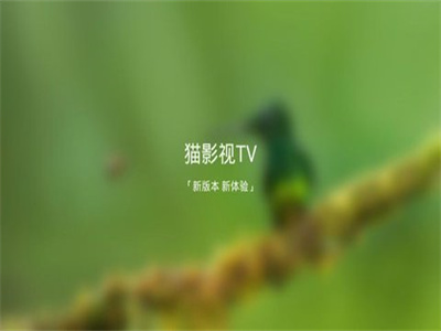 猫影视tv开源