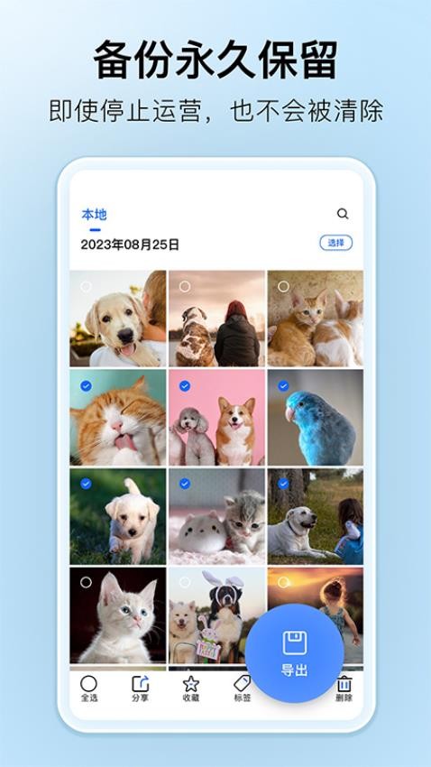 深林集影相册app