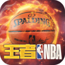 王者nba v20211224