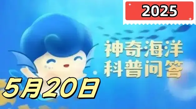 以下哪种海洋动物在寒冷环境中也能保持约26℃的核心体温-神奇海洋5月20日答案最新2025